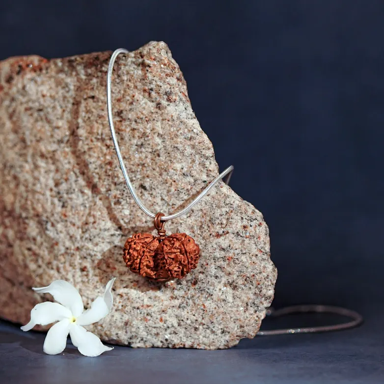 Gauri-Shankar Rudraksha with Silver Chain