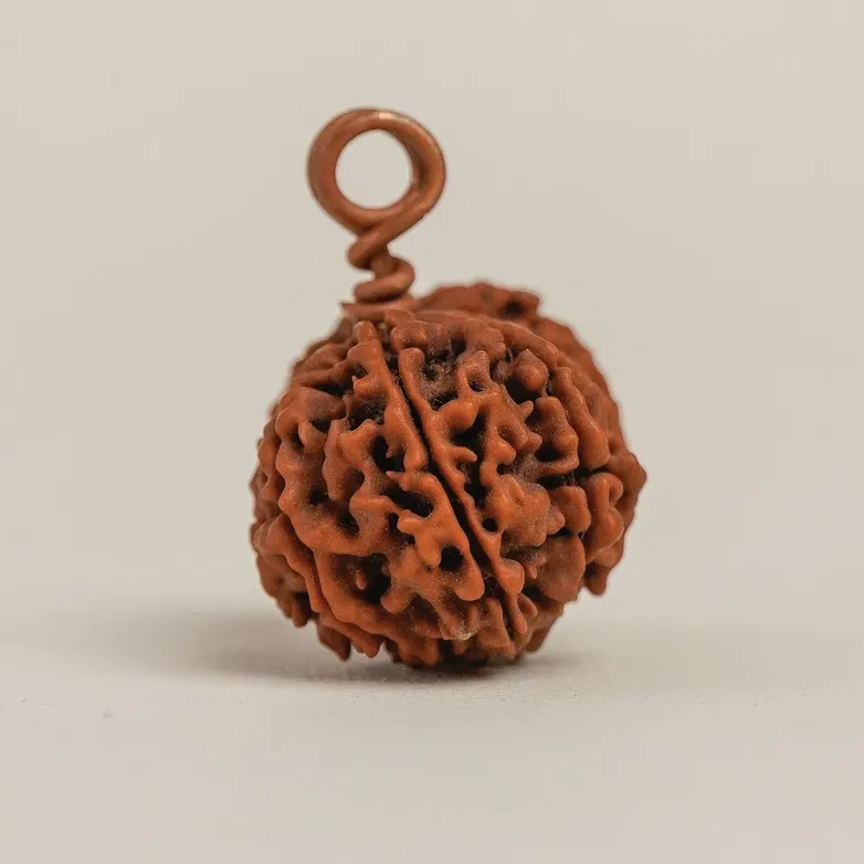 Gauri-Shankar Rudraksha