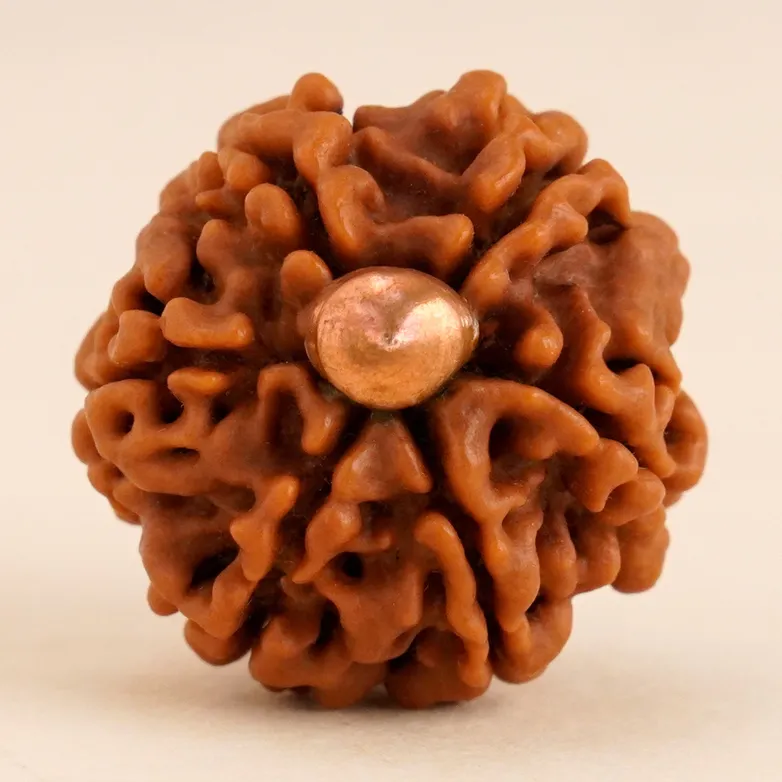 Shanmukhi (six faced) Rudraksha Bead